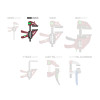 P52415 Ścisk stolarski QUICK-MINI PIHER 15 cm P52415 Ścisk stolarski QUICK-MINI PIHER 15 cm